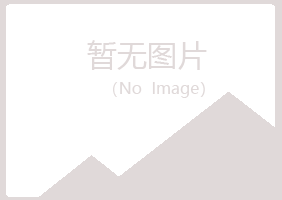 池州夏青金融有限公司